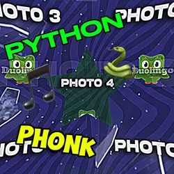 Python Phonk