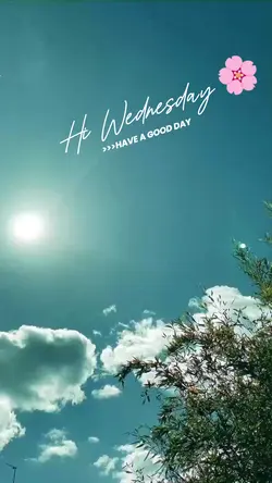 Hi Wednesday 