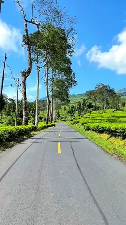 3 video filter HD 