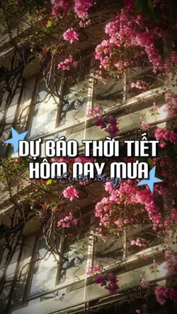 Mẫu 2 ảnh