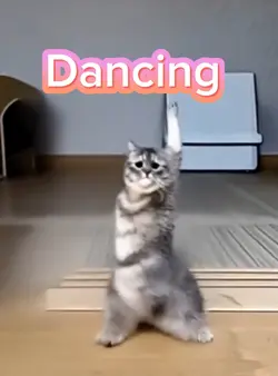 Dancing