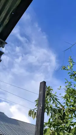 VIDEO HD