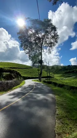 tulisan bergerak 