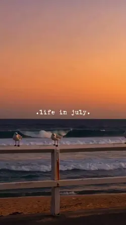 Life in july 2025