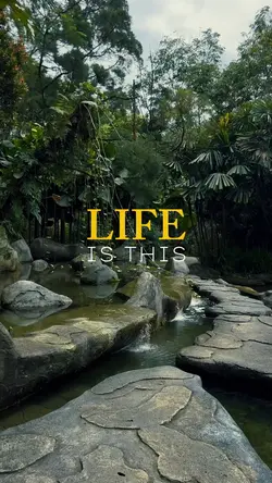 LIFE IS THIS