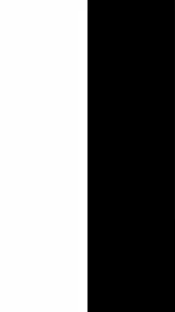 Trend template 