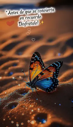 Disfruta el momento!