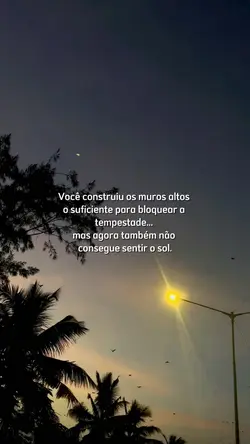 Vc construiu muros..