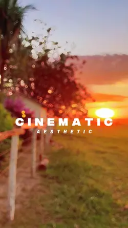 cinematic aestethic