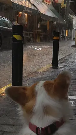 rainy day