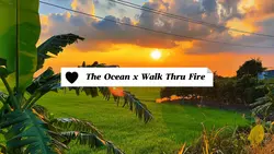 The Ocean x Walk Thr