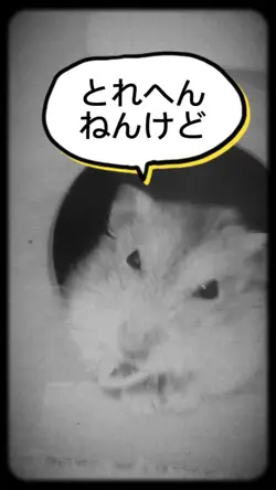 ペット吹き出し