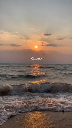 Sunsets 