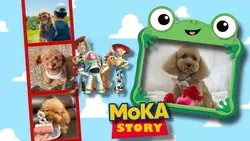 Toy story 5