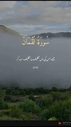 سورۃ لقمان 14
