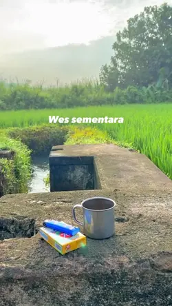 Sementara ngene wae