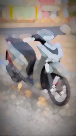 1 video màu sh