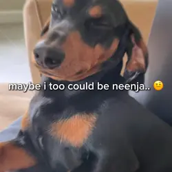 neenjah