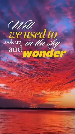 Wonder