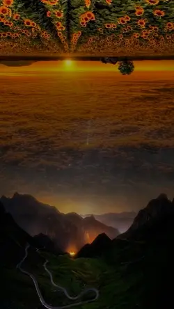 LOOKING UP