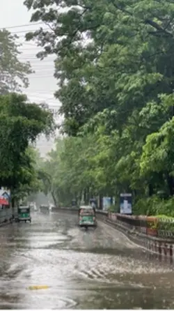 বৃষ্টি বিলাস