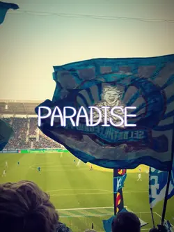 Paradise