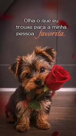Mi pessoa favorita