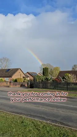 dog performance