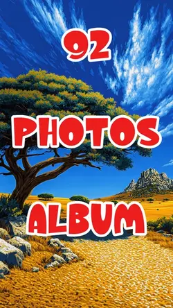 92 Photo Dump 