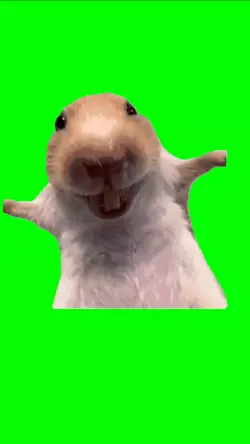 funny animal meme