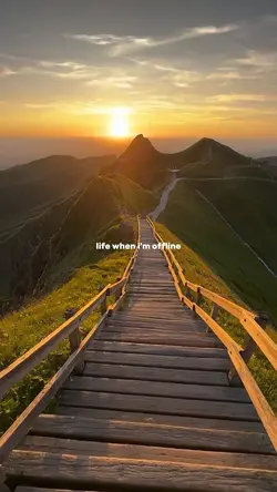 life when off 4vids