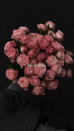 life in may