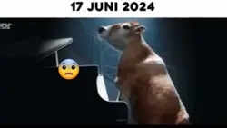 SApi Idul Adha