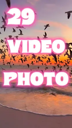 29 Videos Or Photos