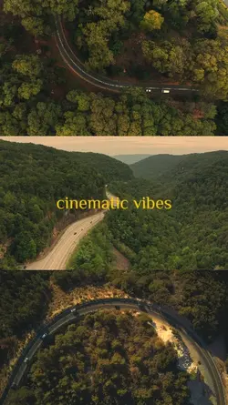 Cinematic Vibes