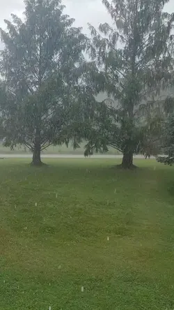 the rain