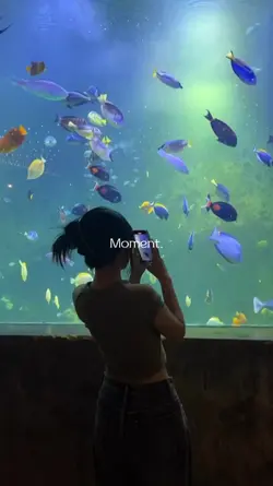 moment 