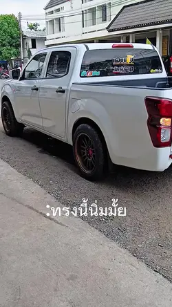 1รูป1วีดีโอ หมาโดด