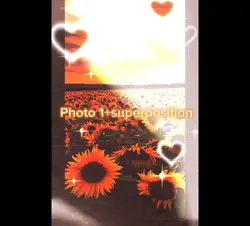 Superposition 