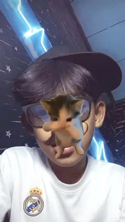 trend kucing joget