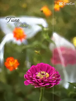 Floral Moments
