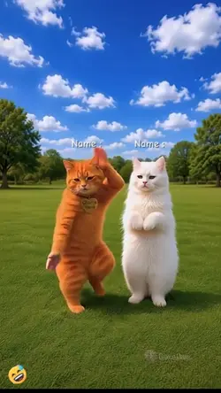 Funny Dancing Cat