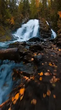 Adventure