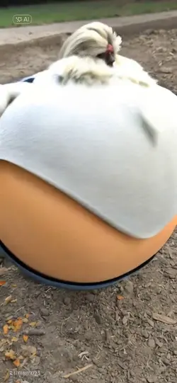 neue Flugtechnik 