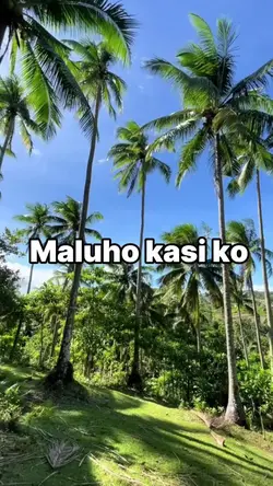Maluho