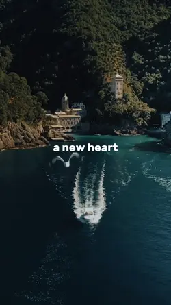 new heart