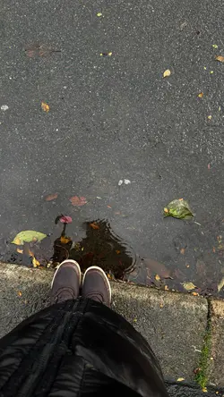 Rainy Sunday 🌧️