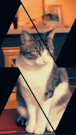 Mine