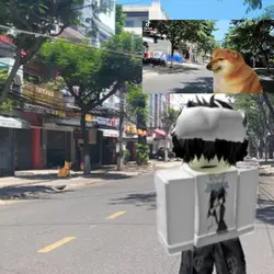  animation mèo cam