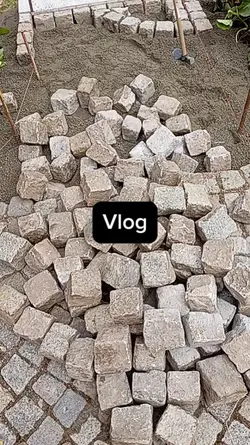 Vlog bau